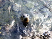 �S�}�����