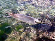 ���щ��уS�}�����