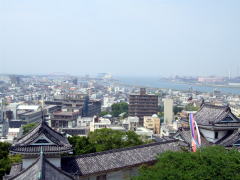 �V��t����̒��]�i�I�m����ʁj