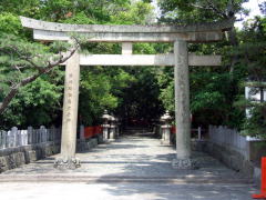 �I�B���Ƌ{�Q���̒���