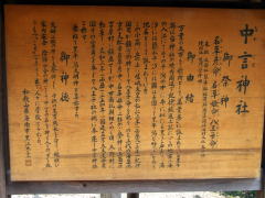 �����_��