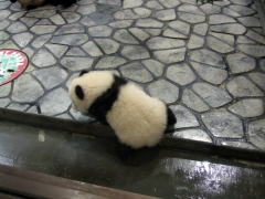 ���уp���_