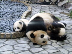 �e�q�̂ӂꂠ��