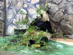 �������܂��H����