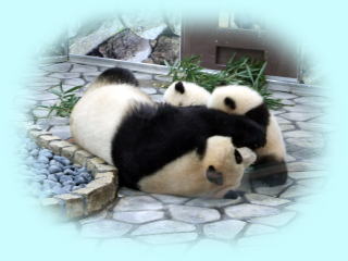 �~�~�i��j�ƈ��l�E���l