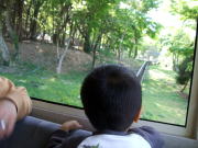 ����������[��