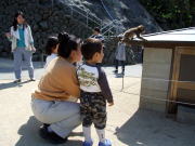 �������񌩕�