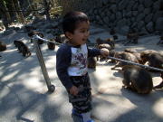 �������낲��