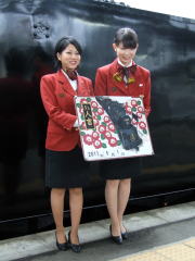 �r�k�l�g�̏斱������