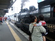 �������߂邯������