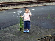 ����ȂɓE�݂܂���