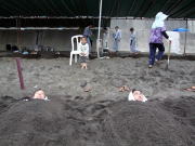 �R�썻��������