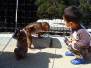 �����邳��A�����ėV�ڂ���