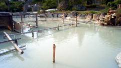 �ʕ{�ۗ{�����h�D��