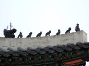 �ΐ���̉�������