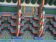 �ΐ��a�̌�����