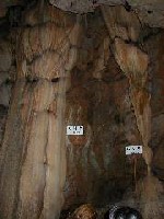 $BE79_@P$H9J$jBS(B