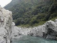 $BBgJb4m$NIw7J!J$=$N#1!K(B