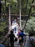 $B$+$:$i66$NF~8}(B