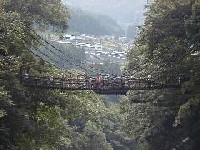 $B>eN.$+$i$N$+$:$i66(B