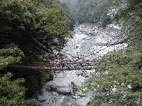 $B2<N.$+$i$N$+$:$i66(B