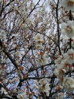 �~�A�~�A�~�A�c