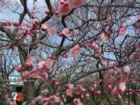 �g�~�A�b�v�ʐ^