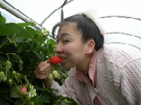 ��������H�ׂ�l������