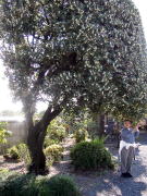 ��r�ꗢ�ː�