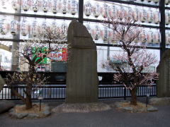 �^�����̔~�̉�