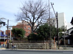 �u���ꗢ��