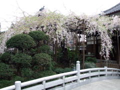 �ʑ��@�̍�