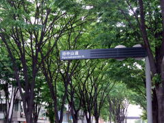 �����R���̕W��