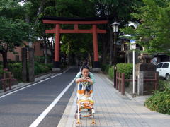 �X��_�Ј�̒���