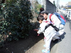 �����̎��E��