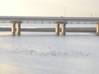 �������������͌���]��