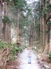 ���������X������