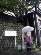 �q��̈ꗢ��