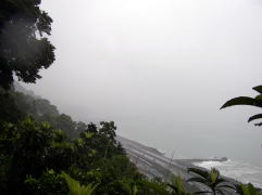 �F�������]�ޓ���]