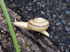 �����ނ�