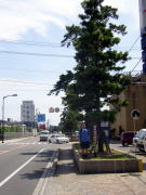 �����h�̏�����