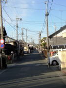 �V����݂̐��_���񂩂狌���C���l���h����