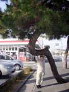 ��т̏�����