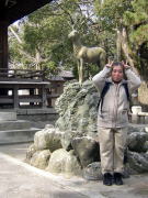 �t���_�Ђ̉�����