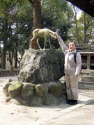 �t���_�Ђ̖Ď���