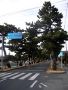 ���⏼���؂̓���