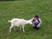 �€�̂��镗�i