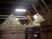 �܂��̖��X�M