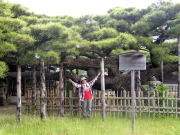 �_���̏����̂P