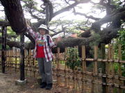 �_���̏����̂Q